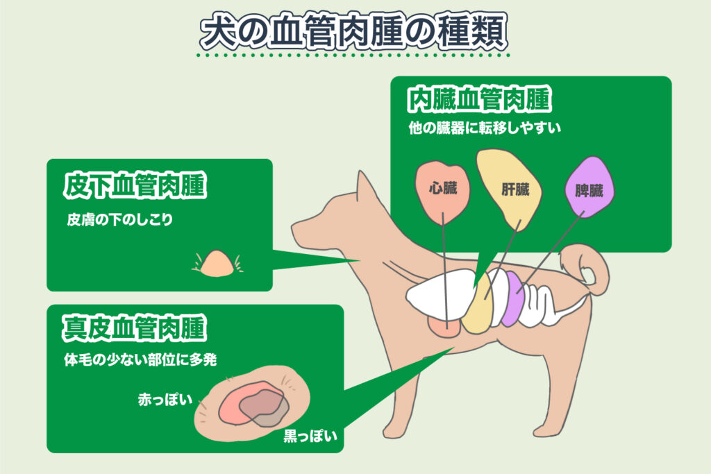 ประเภทของ Hemangiosarcoma ในสุนัข