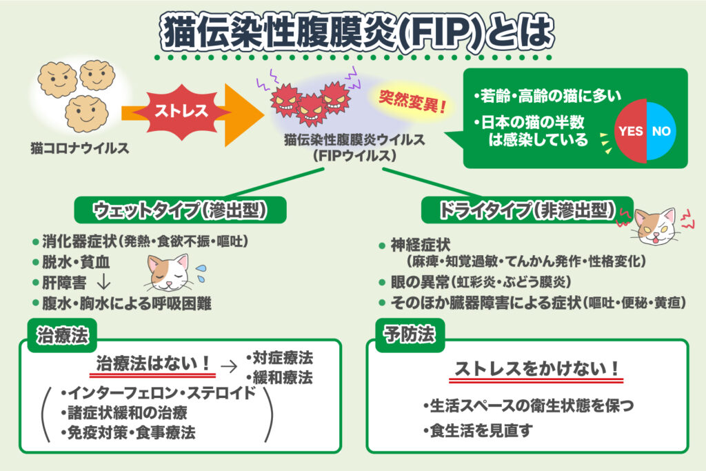 โรคเยื่อบุช่องท้องแมวติดเชื้อ (FIP)