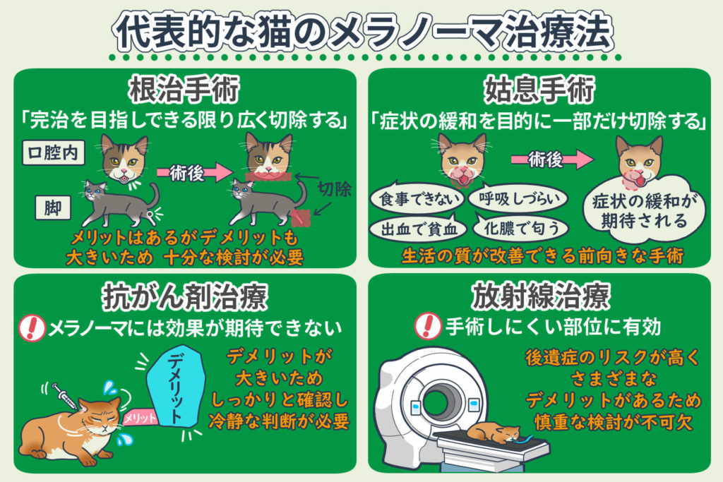 代表的な猫のメラノーマ治療法