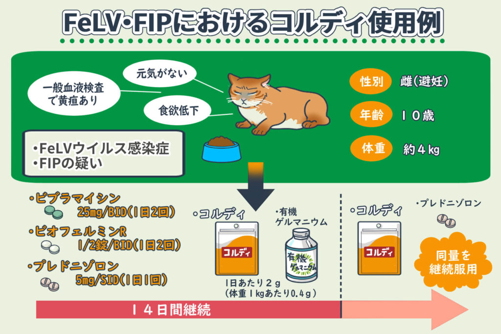 กรณีตัวอย่างการใช้คอร์ดีในโรค FeLV และ FIP