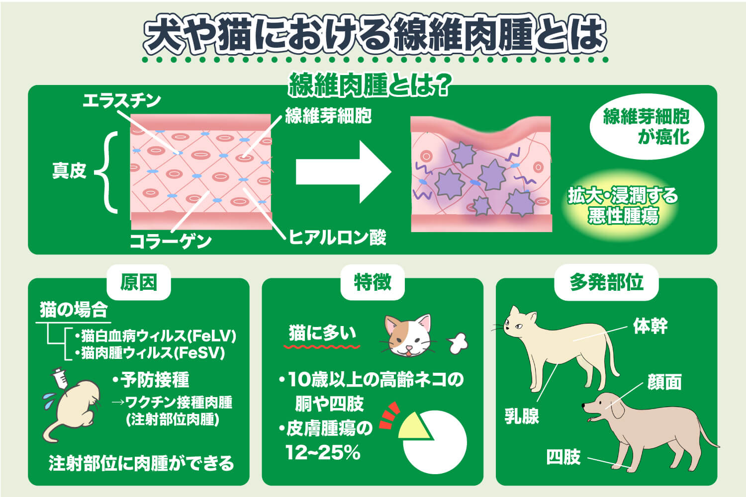 Fibrosarcoma ในสุนัขและแมวคืออะไร?