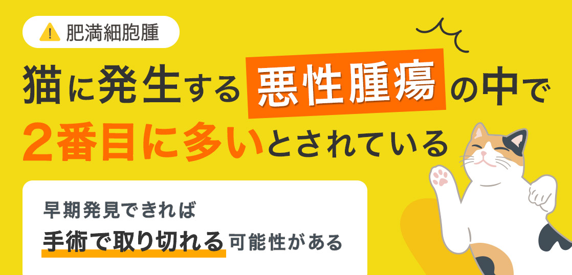 肥満細胞腫 猫に発生する悪性腫瘍の中で2番目に多いとされている 早期発見できれば手術で取り切れる可能性がある