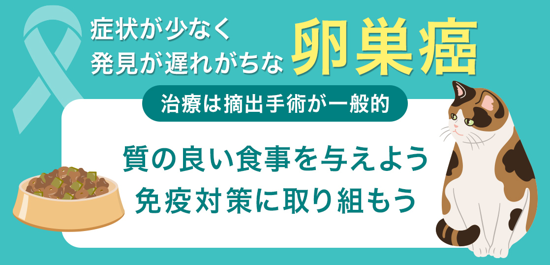 症状が少なく発見が遅れがちな卵巣癌