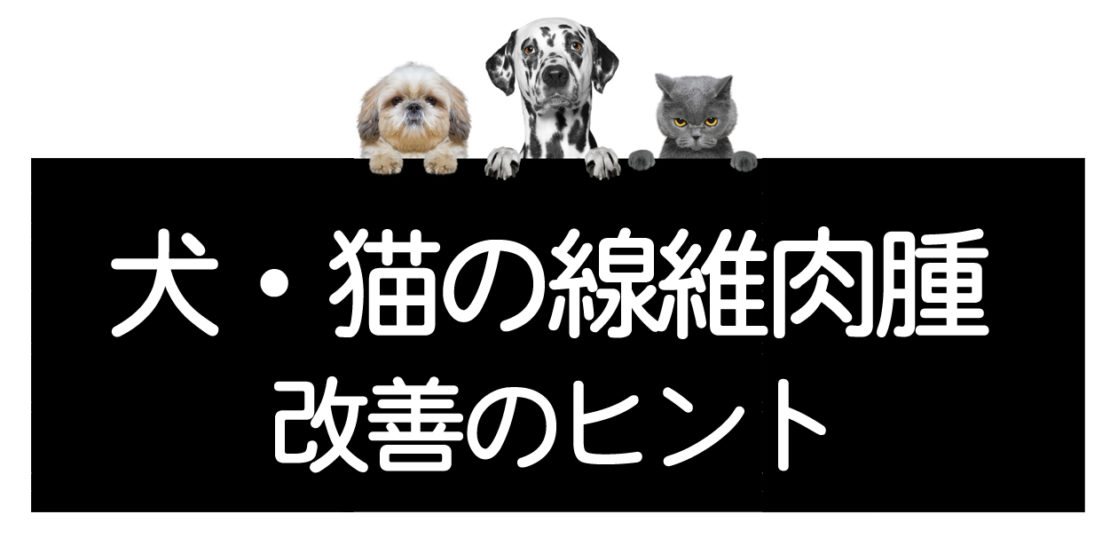 犬や猫の線維肉腫の改善方法