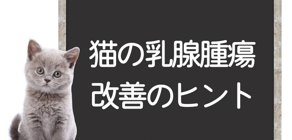 猫の乳腺腫瘍の改善方法