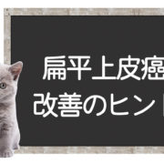 猫の扁平上皮癌の克服方法