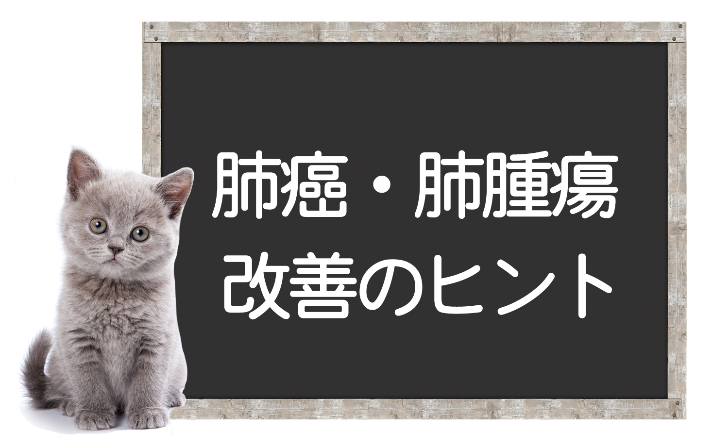 เนื้องอกปอดในแมว・มะเร็งปอด ― สาเหตุ อาการ การรักษา เคล็ดลับในการปรับปรุงイメージ