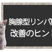 猫の胸腺型リンパ腫克服方法