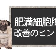 犬の肥満細胞腫改善方法