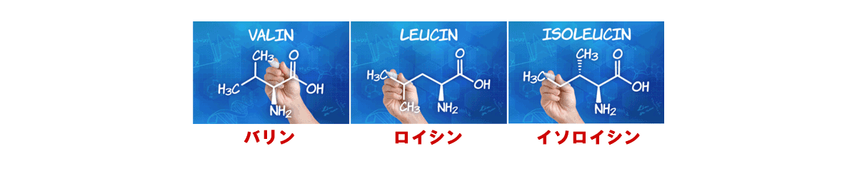 แนะนำให้เสริม BCAA สำหรับสุนัขและแมวที่มีร่างกายอ่อนแอหรือตับและไตไม่ดีイメージ