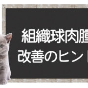 猫の組織球肉腫の克服方法