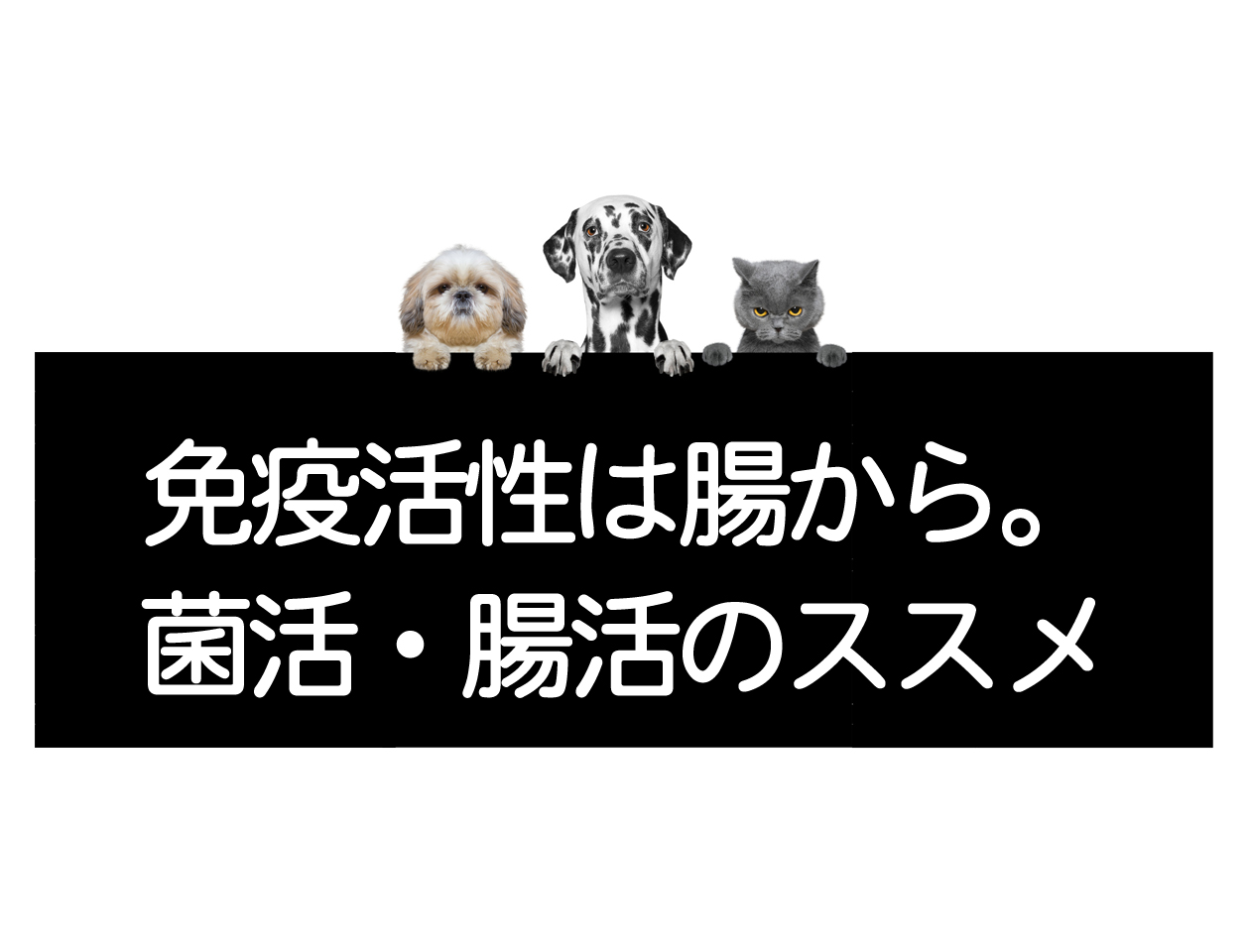 กระเพาะอาหารให้แข็งแรง! ～เพิ่มภูมิคุ้มกันจากด้านใน～โปรโมตการทำงานของจุลินทรีย์และลำไส้イメージ