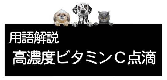 犬や猫の高濃度ビタミンＣ点滴療法