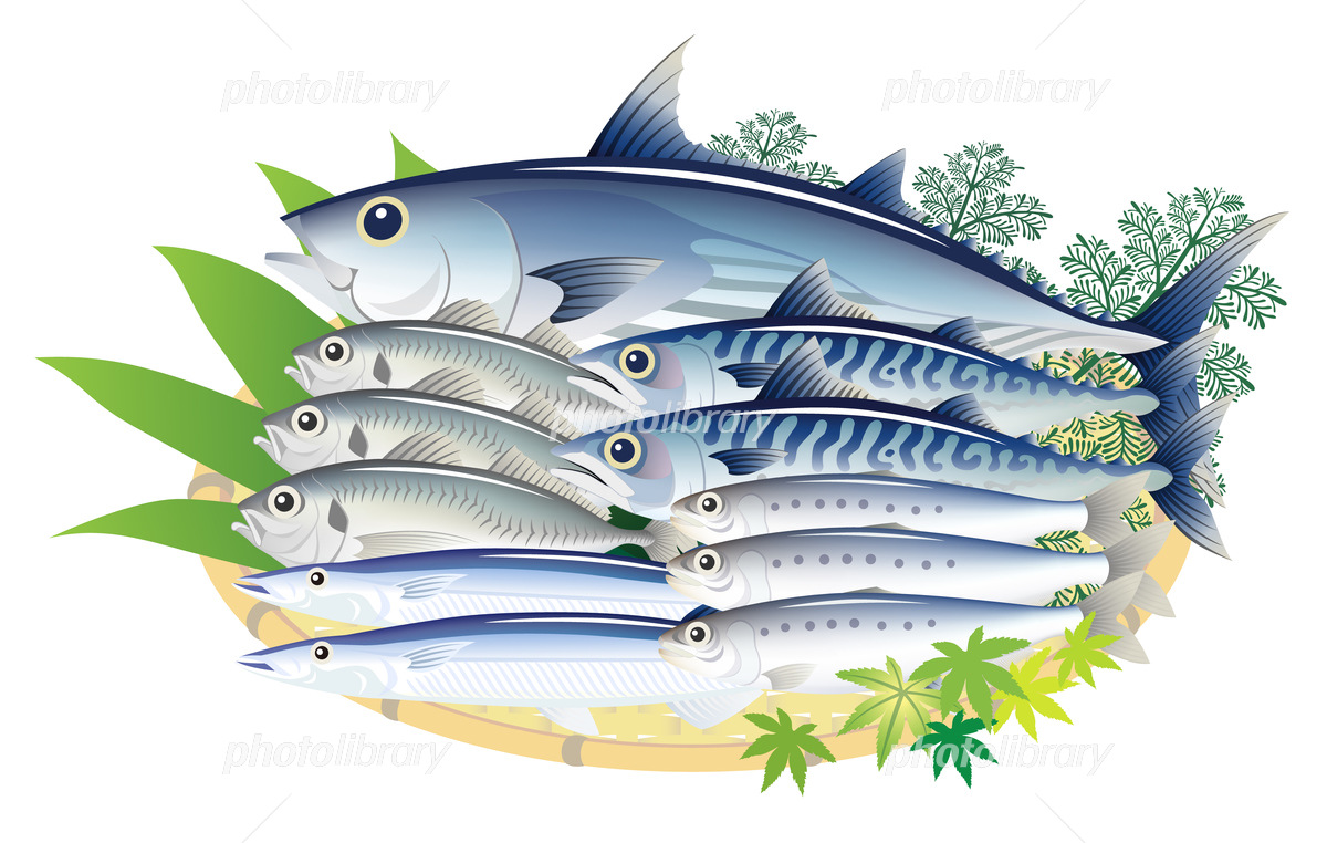 โอเมก้า 3 (EPA・DHA) กรดไขมันที่มีคุณสมบัติที่คาดหวังイメージ