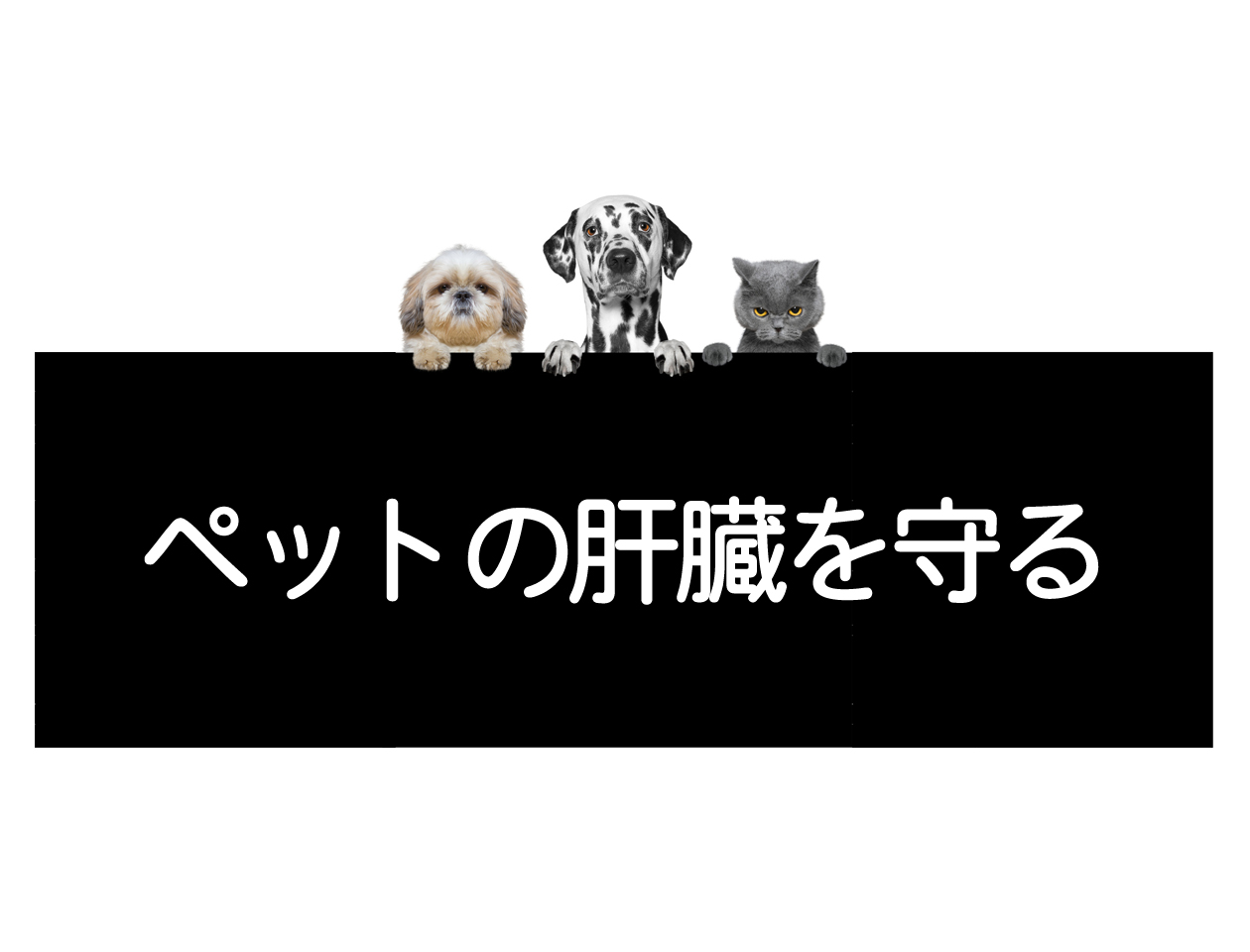 วิธีป้องกันการเสื่อมหน้าที่ตับของสุนัข แมว และสัตว์เลี้ยงイメージ