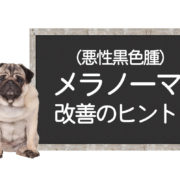 犬のメラノーマ