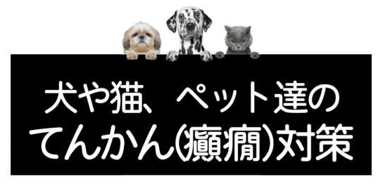 犬猫のてんかん発作（癲癇）